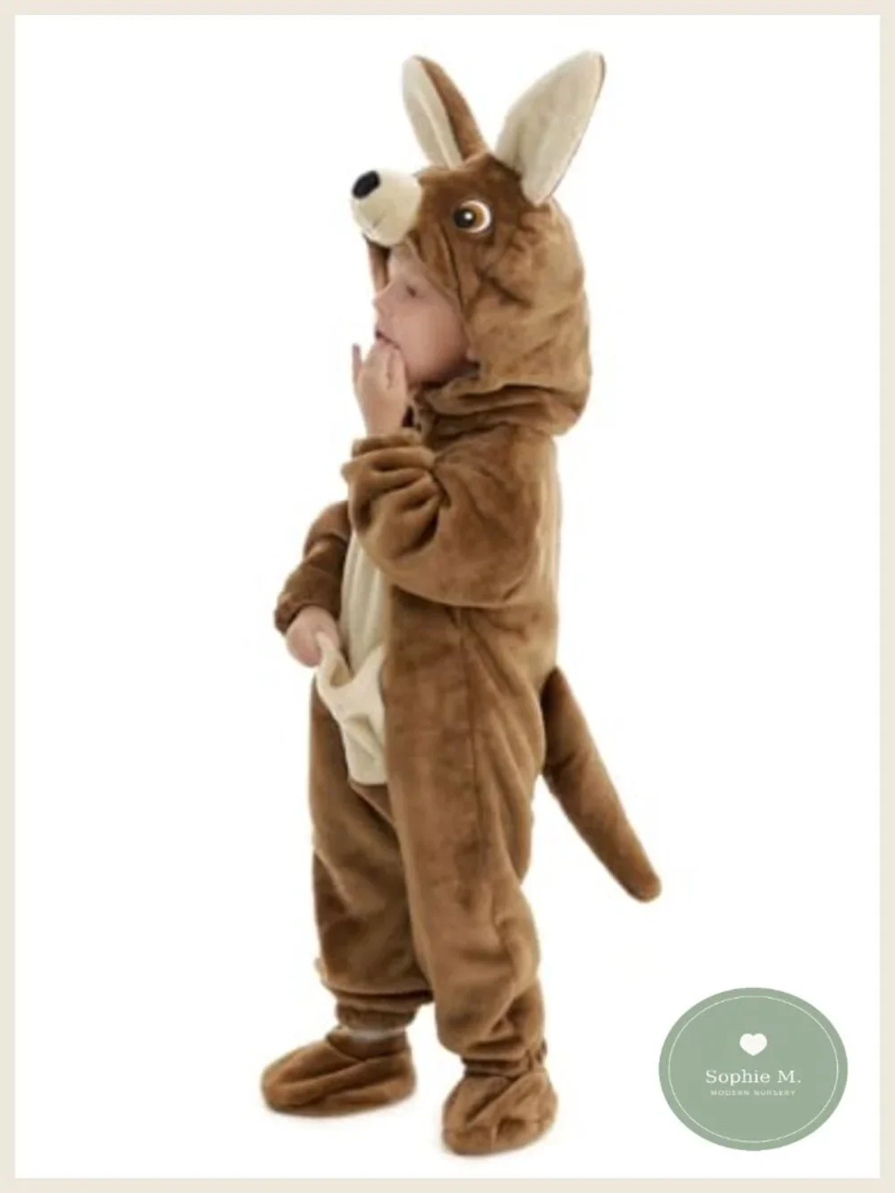 N/A adorable kangaroo